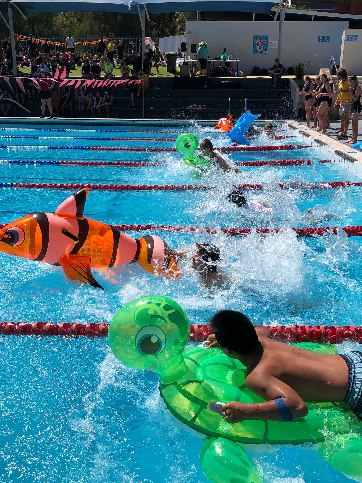 swimming-carnival-aveley-secondary-college